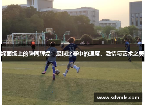 绿茵场上的瞬间辉煌：足球比赛中的速度、激情与艺术之美