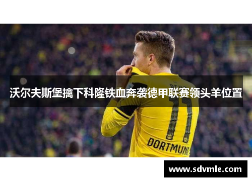 沃尔夫斯堡擒下科隆铁血奔袭德甲联赛领头羊位置