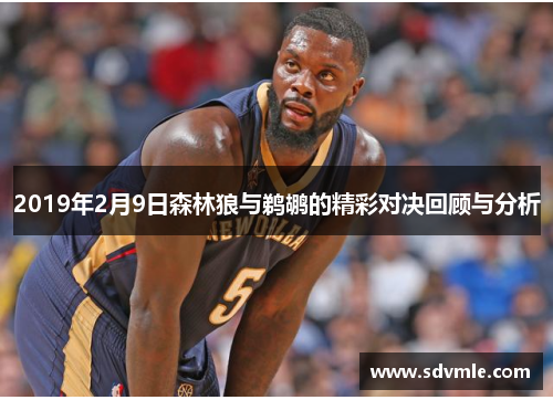 2019年2月9日森林狼与鹈鹕的精彩对决回顾与分析